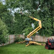Best Lawn Watering Services  in Anchorage, AK