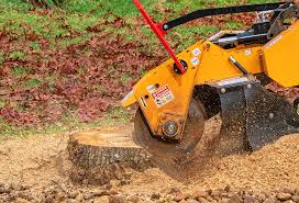 Best Tree Maintenance Programs  in Anchorage, AK
