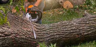 Best Artificial Turf Installation  in Anchorage, AK